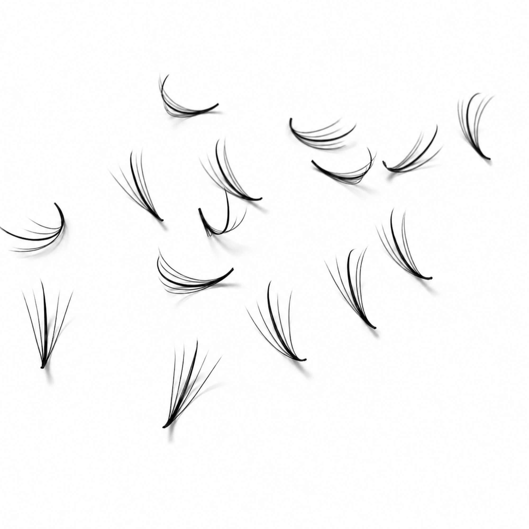 ♥ Wispy ♥ - Wimpernfächer High-End Quality (FIB)