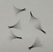 Wimpernfächer