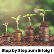 Step by Step zur Mystery Innovation
