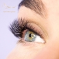 Preview: Wimpernverlängerung mit M Fächerwimpern