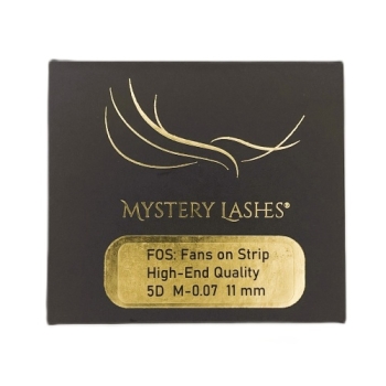 Kartonbox von Mystery mit M-Fächer auf Stteifen