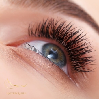 Wimpernverlängerung mit HD Wimpernfächer