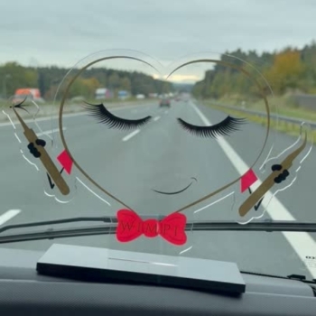 Wimpi von Mystery Lashes