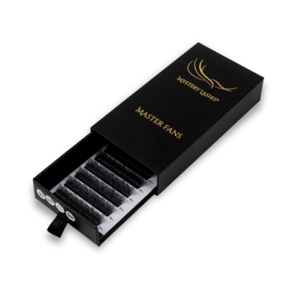 Kartonbox der Mystery Master Fans