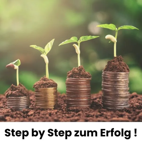 Step by Step zur Mystery Innovation